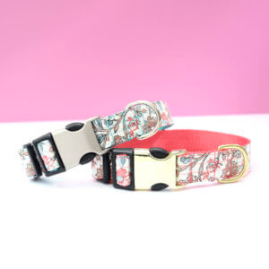 Pink and Teal Floral Laminated Cotton Dog Collar 'Emma