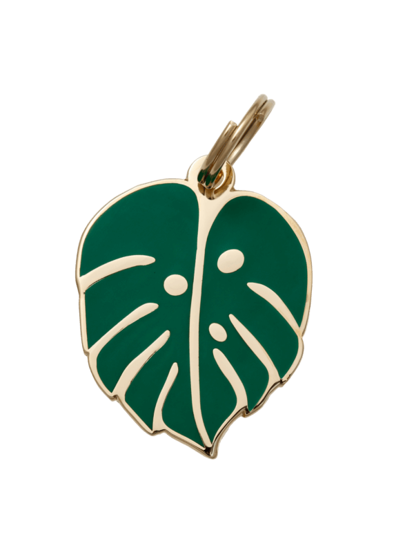 monstera leaf dog id tag main image