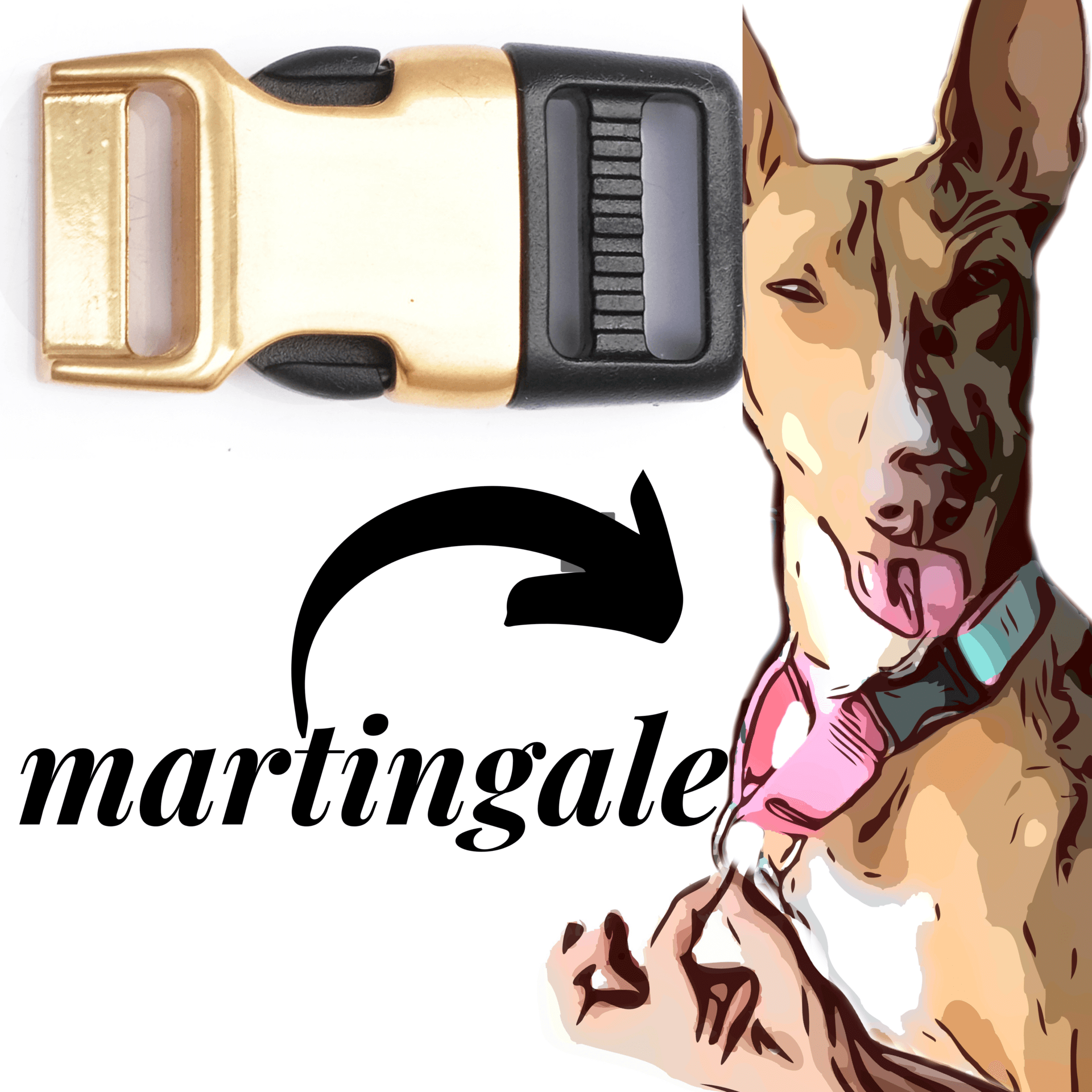 Martingale Style with Brass Hybrid Buckle