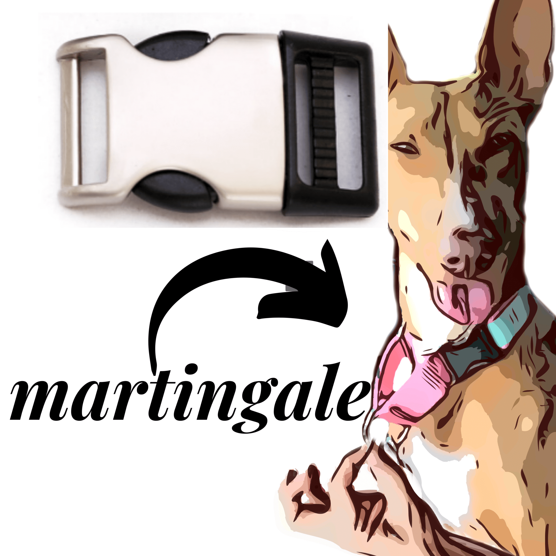 Martingale Style with Brushed Metal Hybrid Buckle