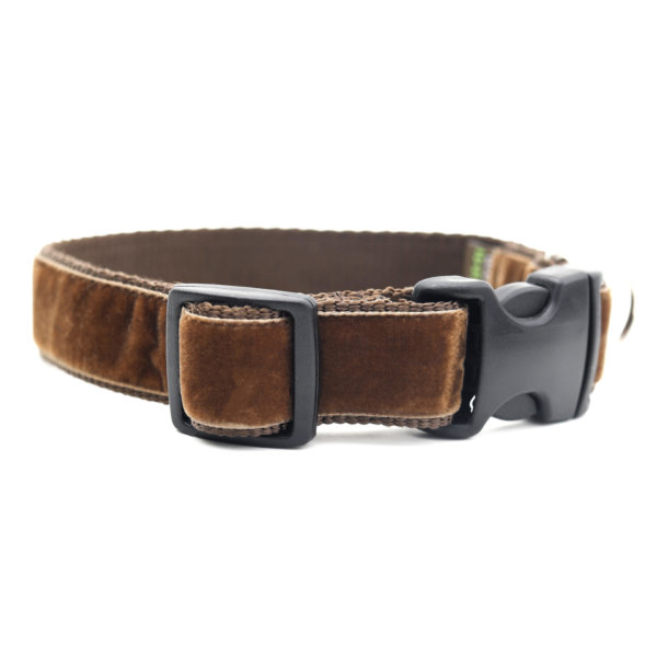 teddy bear brown velvet dog collar