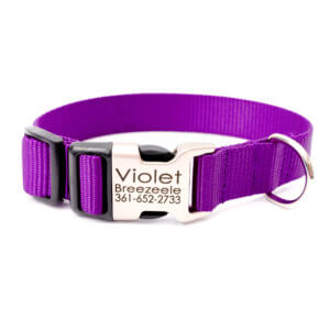 Purple Halloween Dog Collar Personalized Collar With Name 