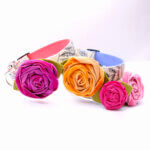 Velvet Rose - Dog Collar Flower