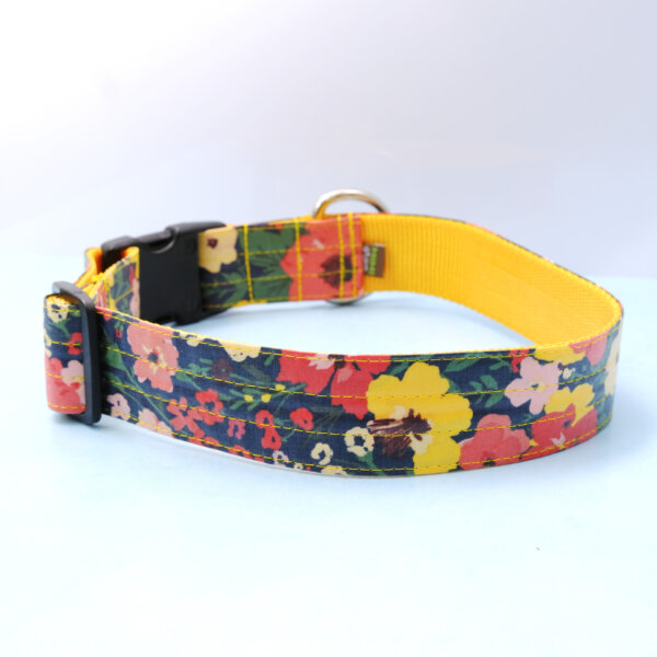 big dog collar wide meadow laminate