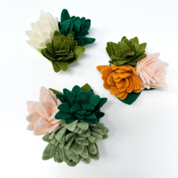 Succulent Dog collar accessory Colors