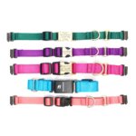 Fi Compatible Nylon Martingale Dog Collar with Quick Release Buckle