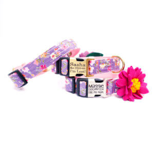 floral purple dog collar laminated engraved Junie