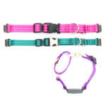 Fi Compatible Reflective Nylon Martingale Dog Collar with Quick Release Buckle