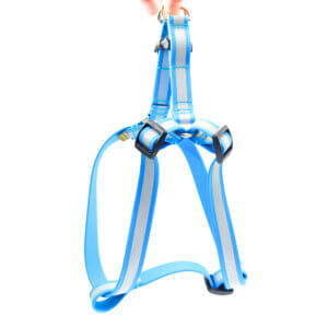 Blue reflective lightweight step in harness