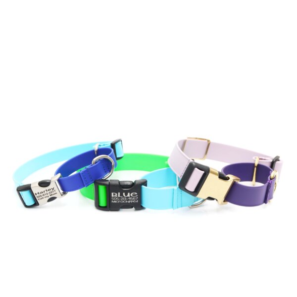 ightweight waterproof two tone buckle martingales biothane