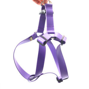 purple lightweight waterproof step in harness