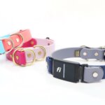 Fi Compatible Waterproof Slip Collar - with Optional Nameplate