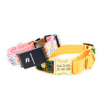 Fi Compatible Canvas Martingale Dog Collars with Quick Release Buckle