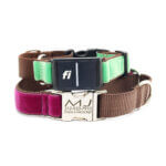 Velvet Fi Compatible Martingale Dog Collar with Quick Release Buckle