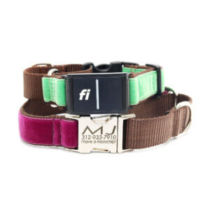 velvet buckle fi martingales