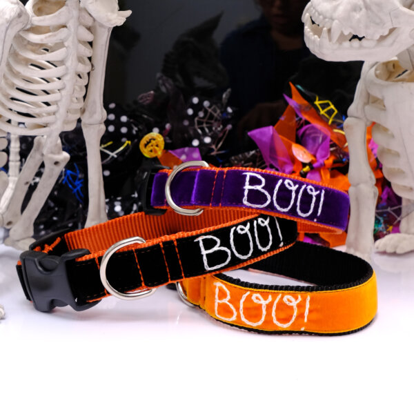 Boo halloween embroidered dog collar