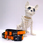 Fi Compatible Halloween Velvet Dog Collar