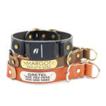 Fi Compatible Leather Slip Collar - with Optional Nameplate