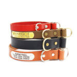 Leather Slip Dog Collar with Engraved Riveted Nameplate