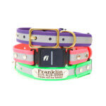 Fi Compatible Waterproof Reflective Dog Collar -  Belt Buckle Style