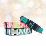 Fi Compatible Holiday Dog Collars