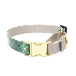 green tartan laminate buckle martingale collar