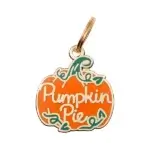 Pumpkin Pie Dog ID Tag