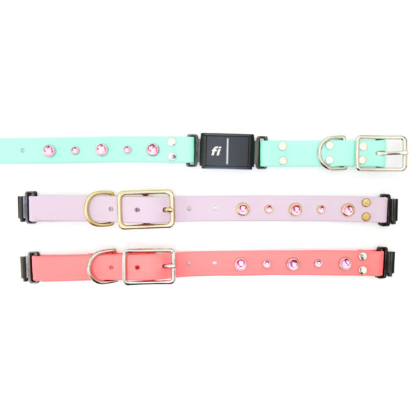 dolly waterproof fi compatible studded belt buckle collars