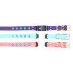 Turquoise Studded Waterproof Fi Compatible Belt Buckle Dog Collar | The 'Duke'