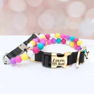 engraved beaded friendship dog collar Swifties