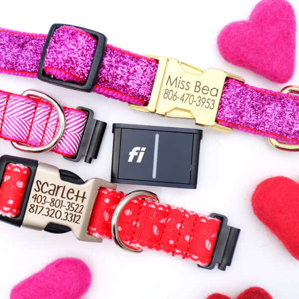 Fi Valentines Collars Square