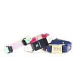 Fi Compatible Waterproof Dog Collar - Two Tone with Side Release Buckle