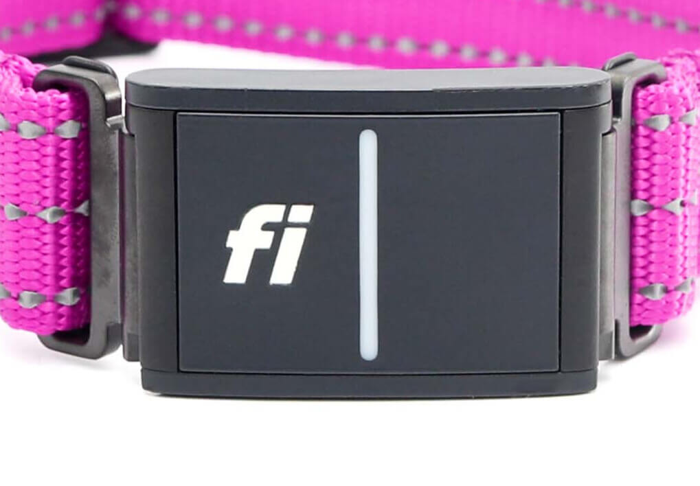 Make your collar Fi compatible